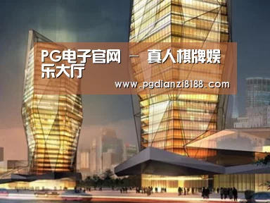 案例展示三