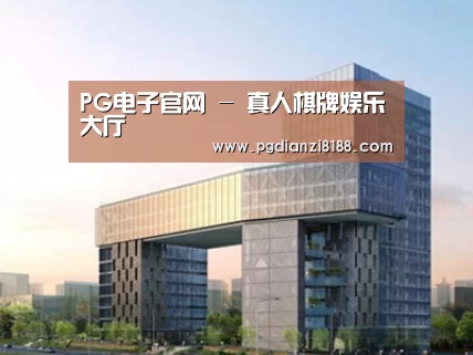 案例展示四