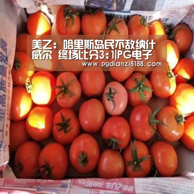 美乙: 哈里斯岛民不敌纳什威尔 终场比分3:1|PG电子官网(图1) PG电子游艺