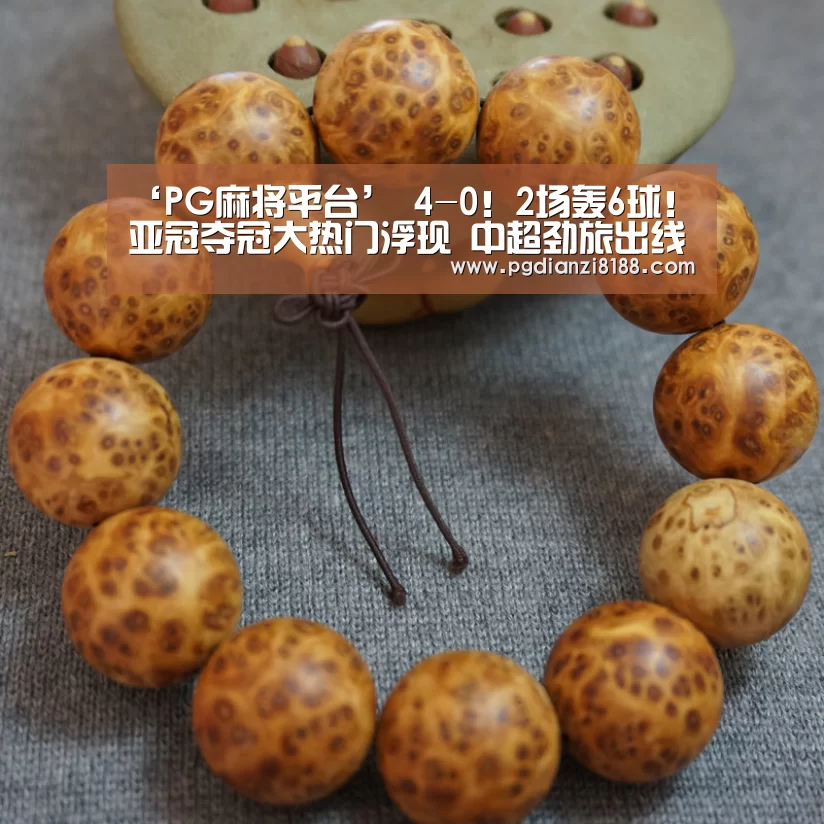 PG麻将平台