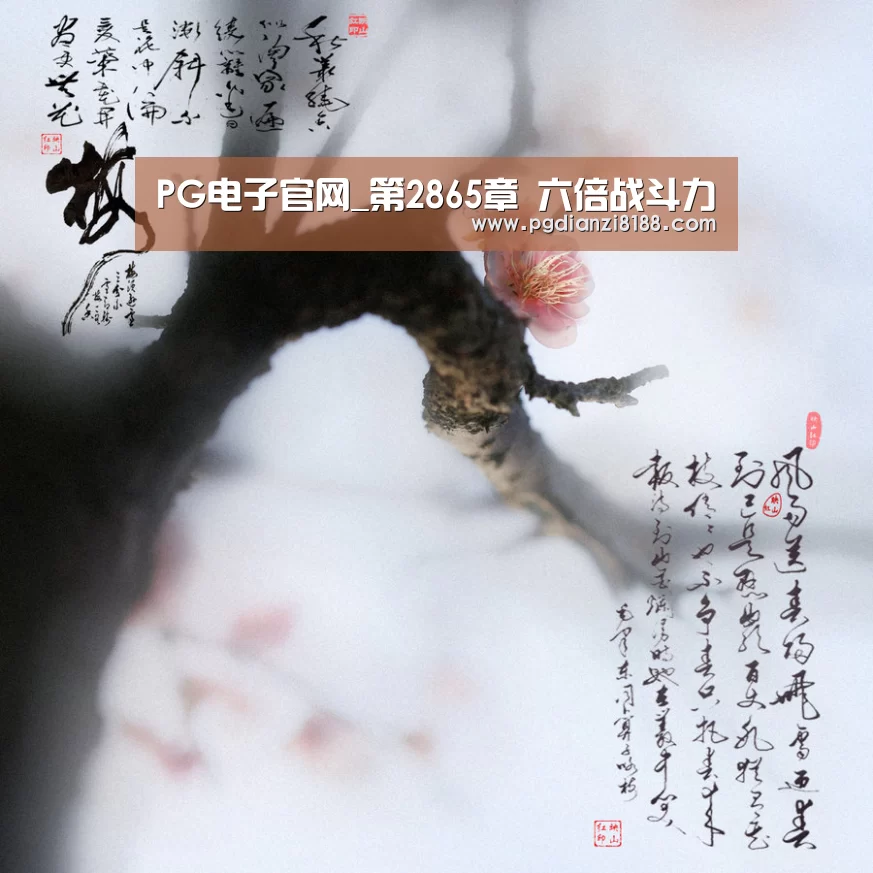 PG电子游艺