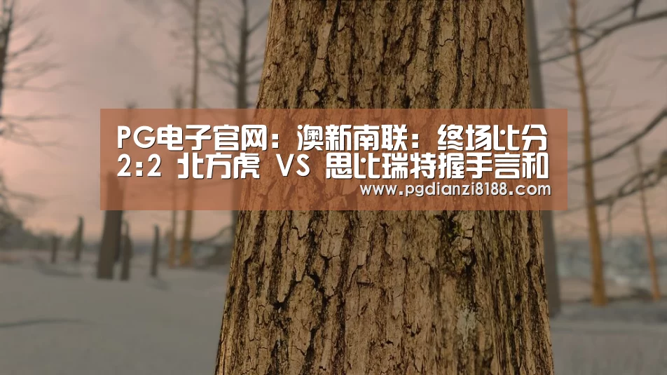 PG麻将平台