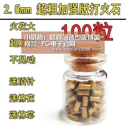 PG电子游艺