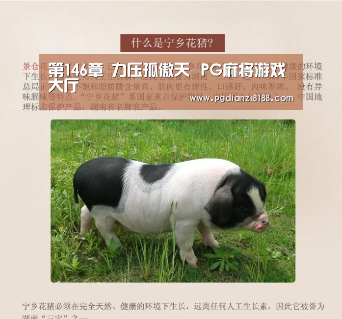 第146章 力压孤傲天-PG麻将游戏大厅(图2) PG麻将平台